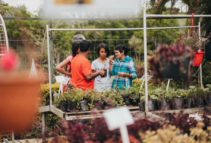 Nouvelle édition du Moka Plant Festival
