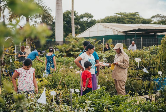 Je plante, tu plantes, il plante : succès pour la 6e édition du Moka Plant festival !
