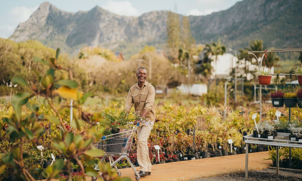 Symfolia, a nursery dedicated to the love of plants