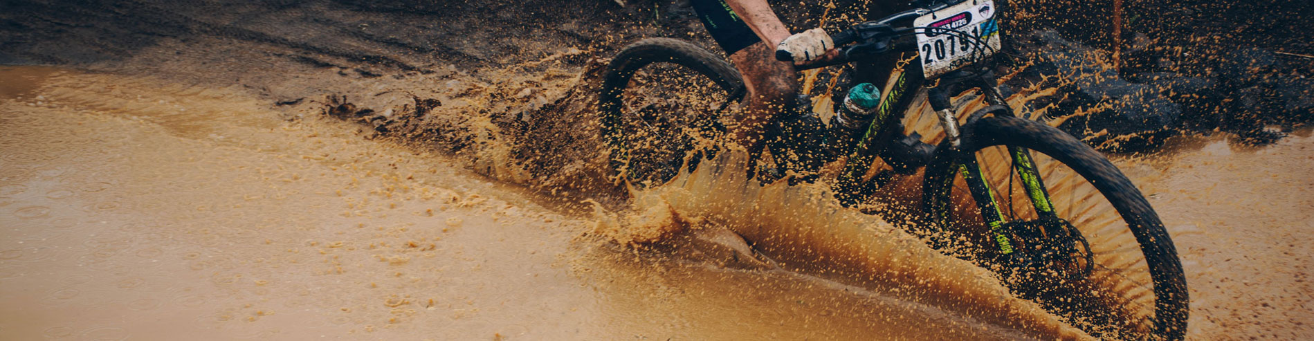 Mountain-biking fun of in the forests around Savannah