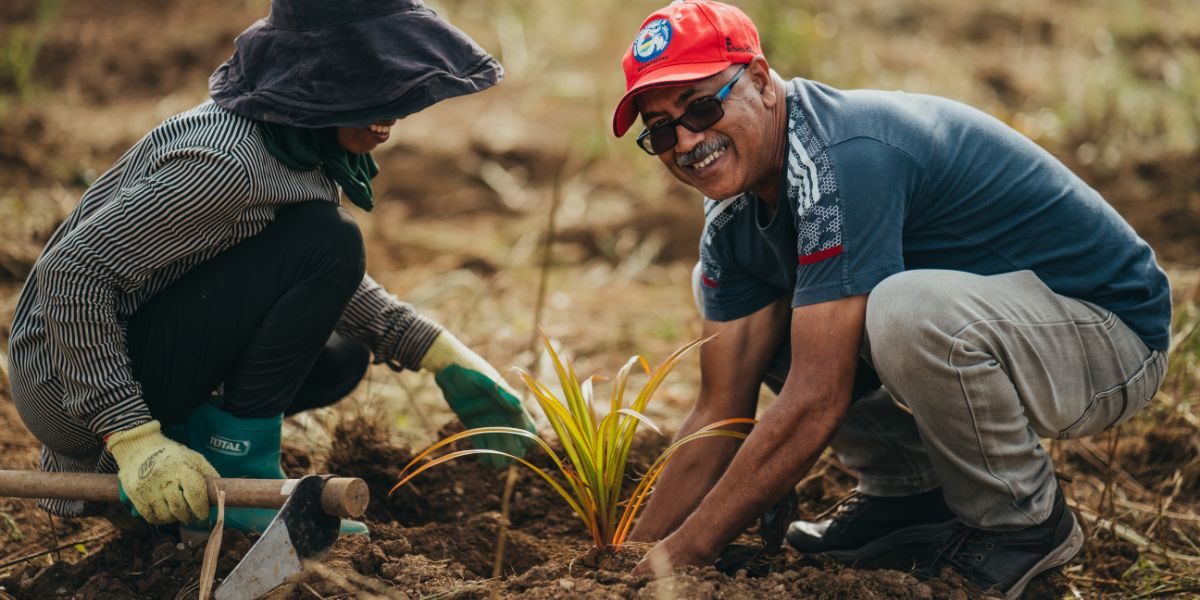 Second Tree City in Africa: Moka receives a new certification
