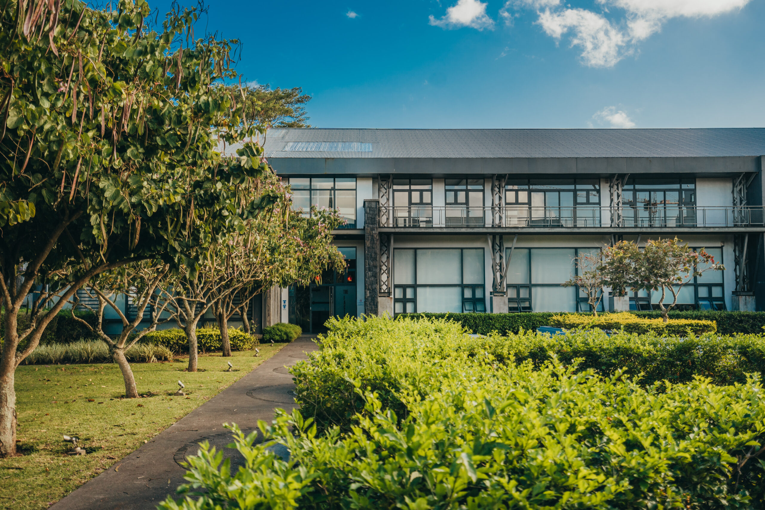Dynamic movements in the Oficea portfolio: a testament to Moka’s thriving office market