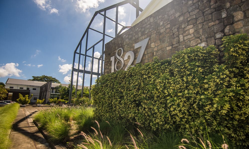Steamroller Studios sets up in Vivéa